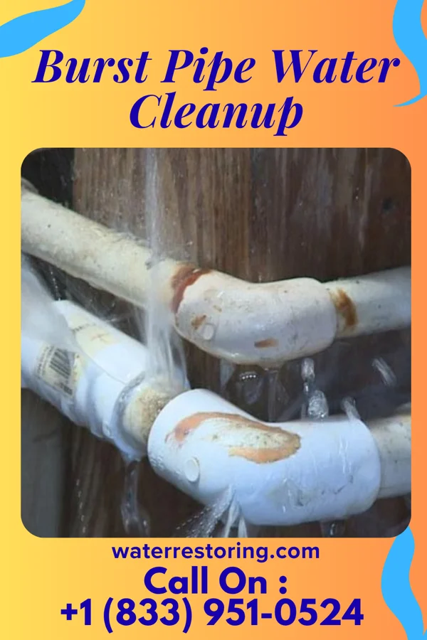 Burst Pipe Water Cleanup in Millersville, TN