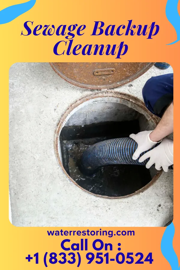 Sewage Backup Cleanup in Millersville, TN