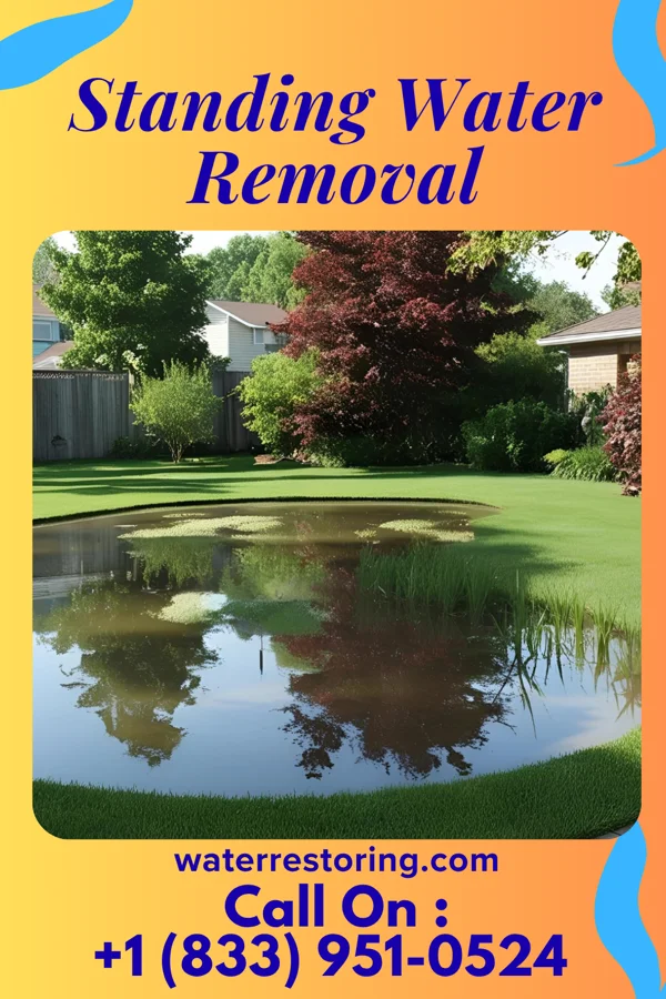 Standing Water Removal in Millersville, TN